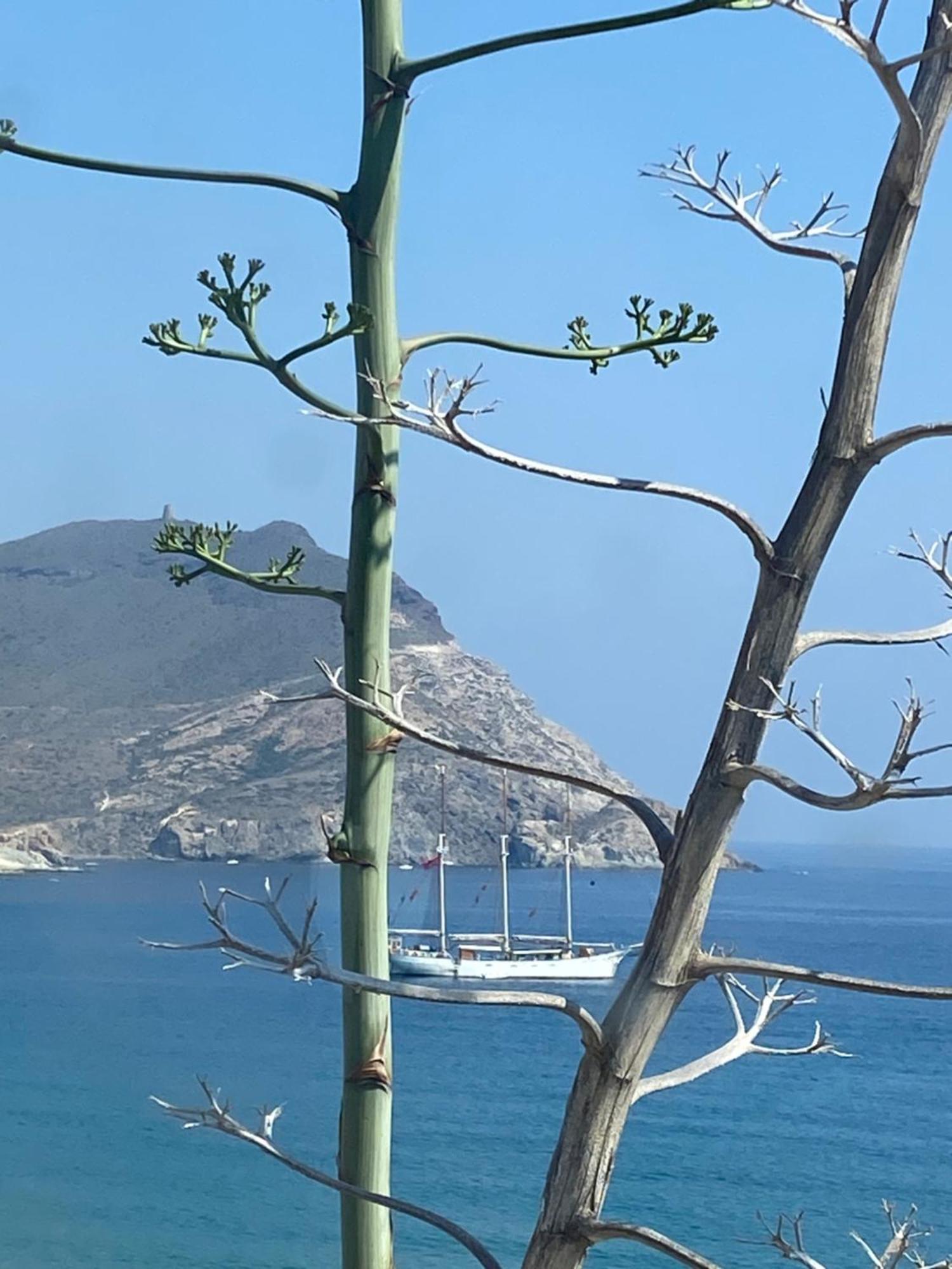 Casa Energia Del Cabo. San Jose Cabo De Gata. Villa Ngoại thất bức ảnh
